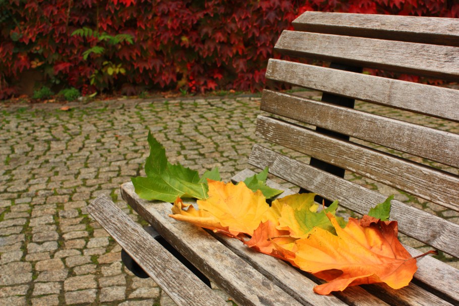 Heckmann Höfe, Mitte, Berlin, Germany, fotoeins.com