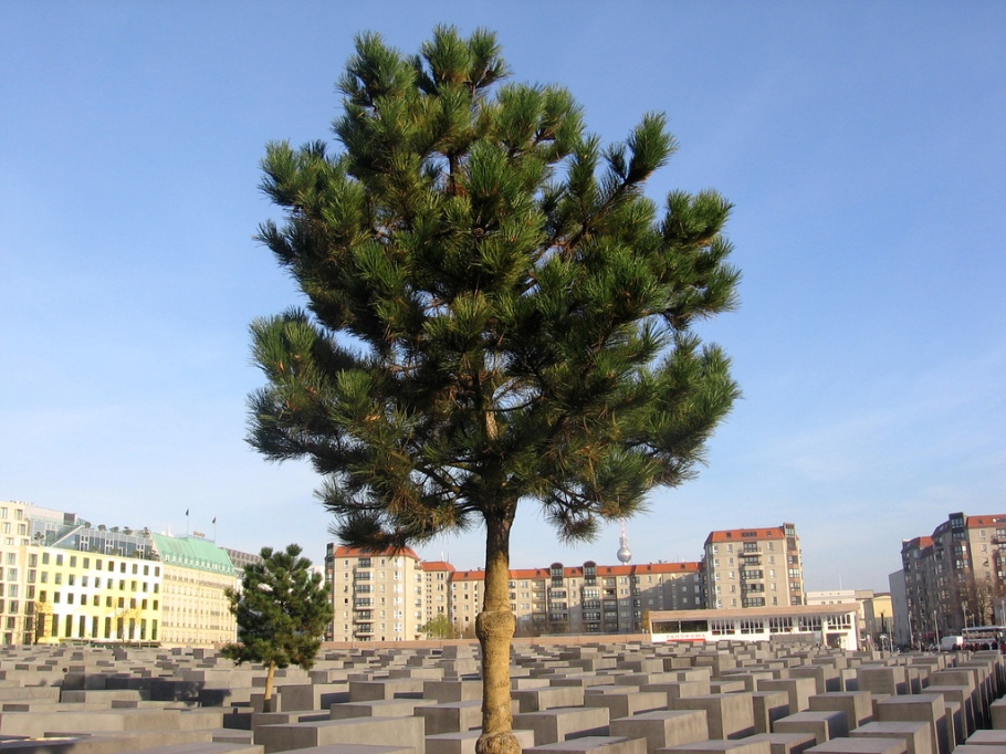Field of Stelae, Holocaust Memorial, Stelenfeld, Holocaust-Denkmal, Denkmal für die ermordeten Juden Europas