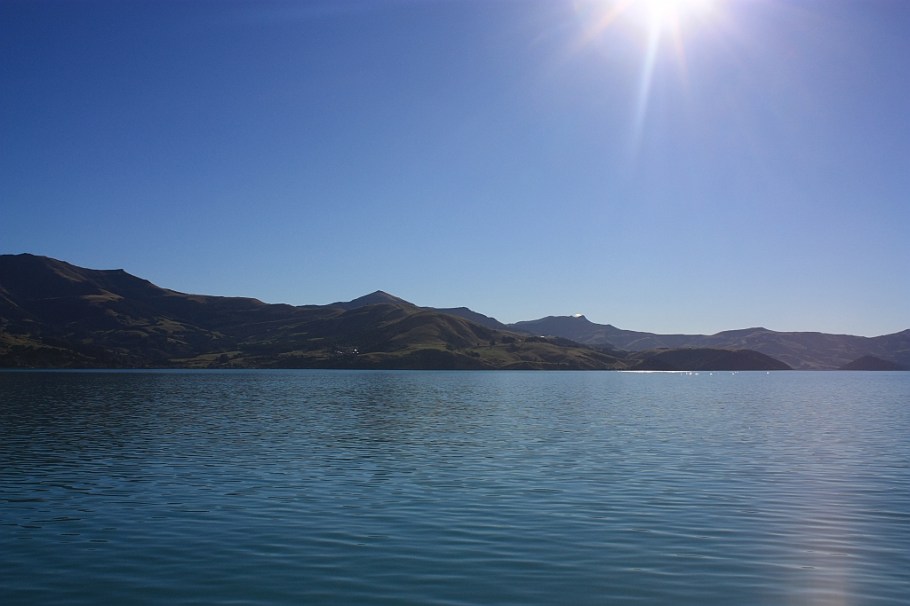 Akaroa harbour, Canterbury, South Island, New Zealand