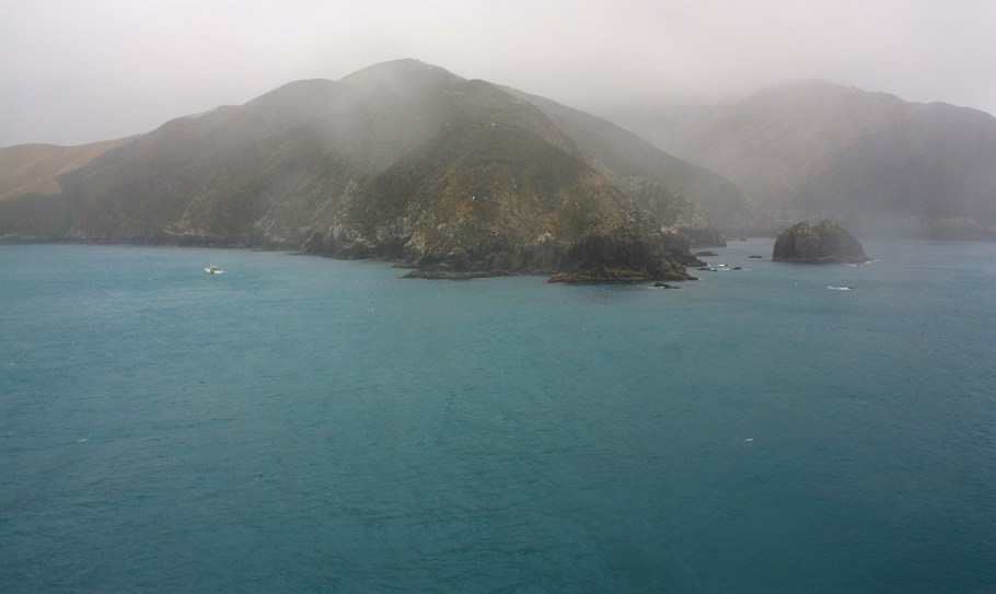 West Head, entering Tory Channel: on board "Kaitaki" Interislander ferry from Wellington to Picton, New Zealand, fotoeins.com