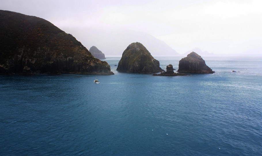 East Head, entering Tory Channel: on board "Kaitaki" Interislander ferry from Wellington to Picton, New Zealand, fotoeins.com