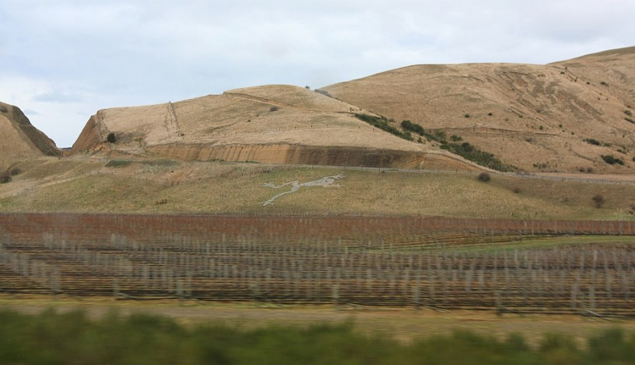 Marlborough region, south of Blenheim, on KiwiRail Coastal Pacific train, Picton to Christchurch, South Island, New Zealand, fotoeins.com