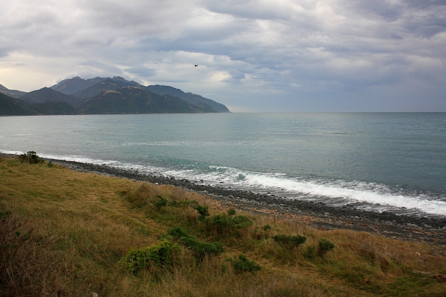 KiwiRail Coastal Pacific train, Picton to Christchurch, South Island, New Zealand, fotoeins.com