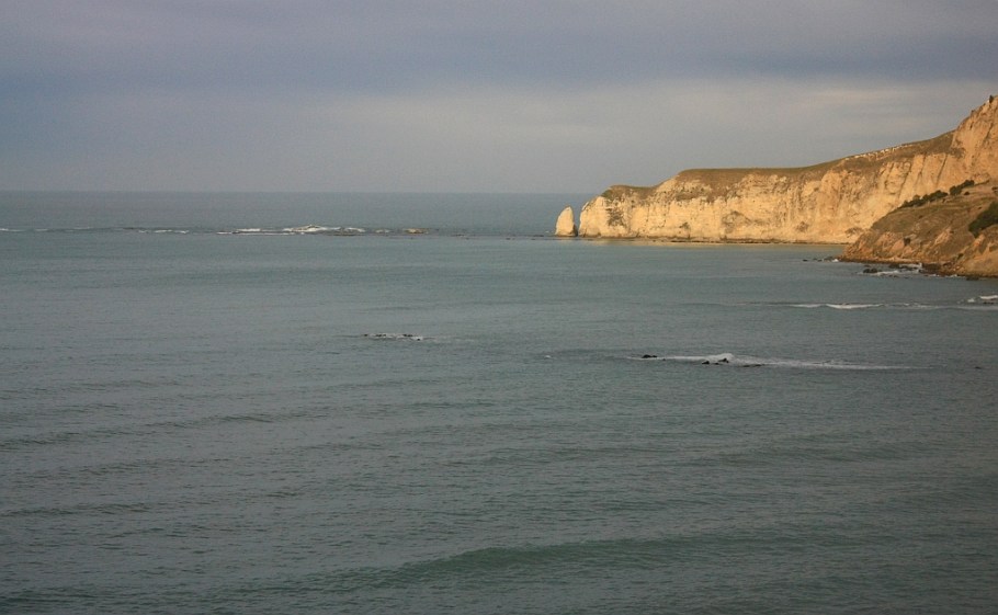 Last light at Spyglass Point (Piripaua), on KiwiRail Coastal Pacific train, Picton to Christchurch, South Island, New Zealand, fotoeins.com