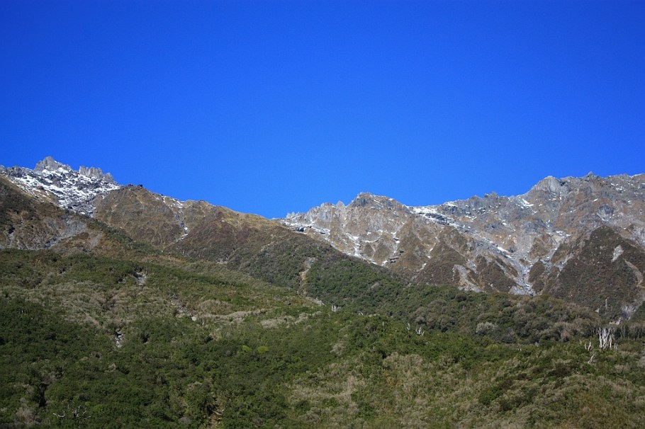 Fox Glacier, Westland National Park, West Coast, South Island, New Zealand