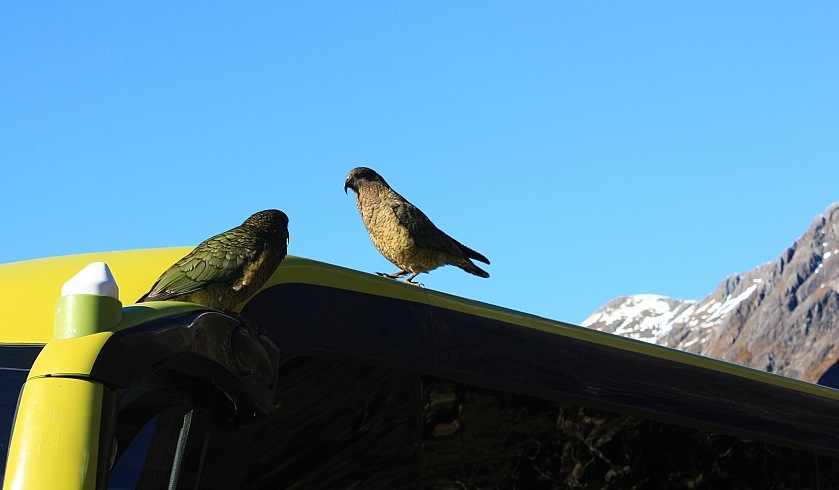 Homer Tunnel, Milford Sound Highway (SH94), Fiordland National Park, Southland, South Island, New Zealand