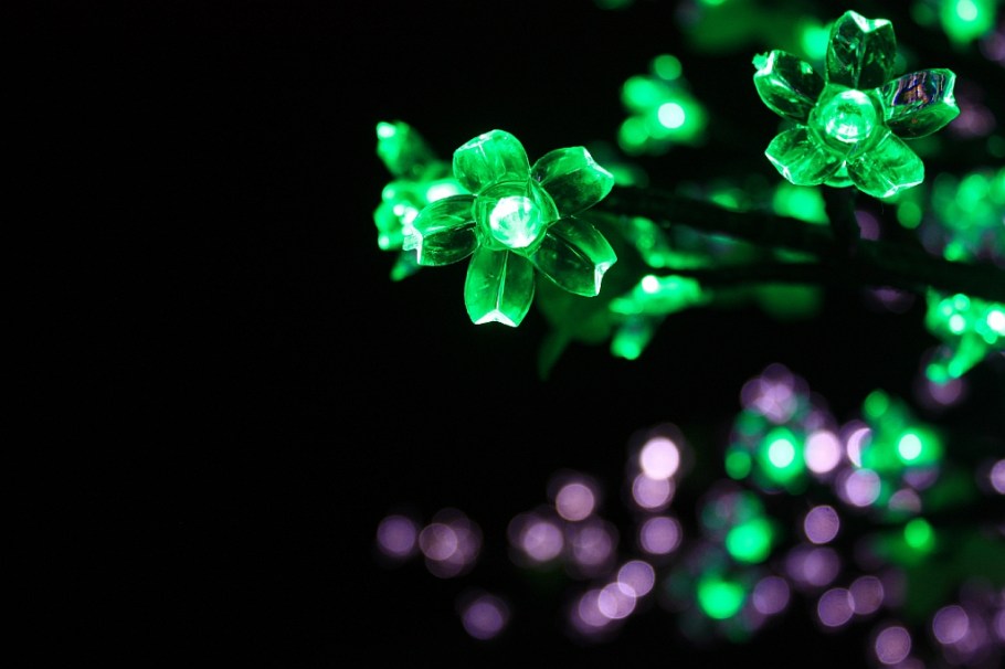 VIVID Sydney - 26 May 2013