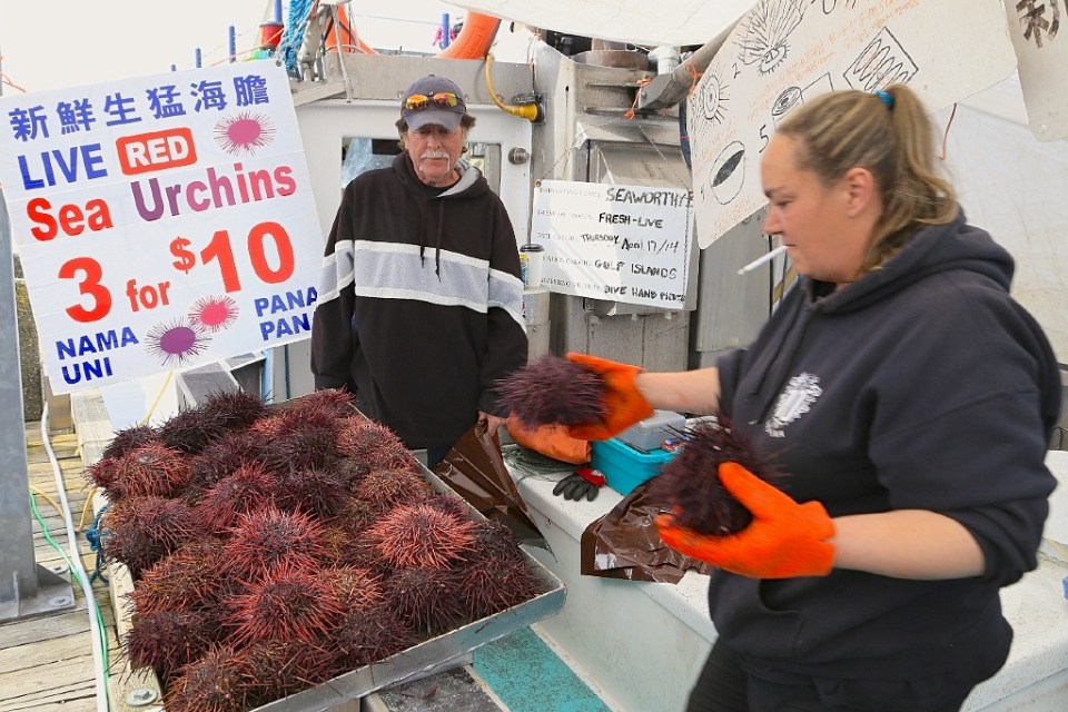 Steveston Fish Market, Steveston Public Fish Sales Float, Steveston Landing, Fisherman's Wharf, Steveston, Richmond, BC, Canada