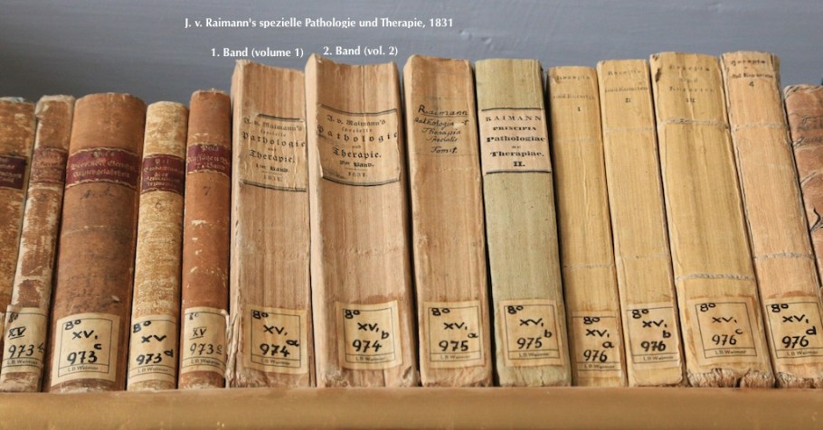 Raimann spezielle Pathologie und Therapie, 1831 Rokokosaal, Herzogin Anna Amalia Bibliothek, Rococo Hall, Duchess Anna Amalia Library, Weimar, Germany, UNESCO World Heritage Site, Weltkulturerbe, fotoeins.com