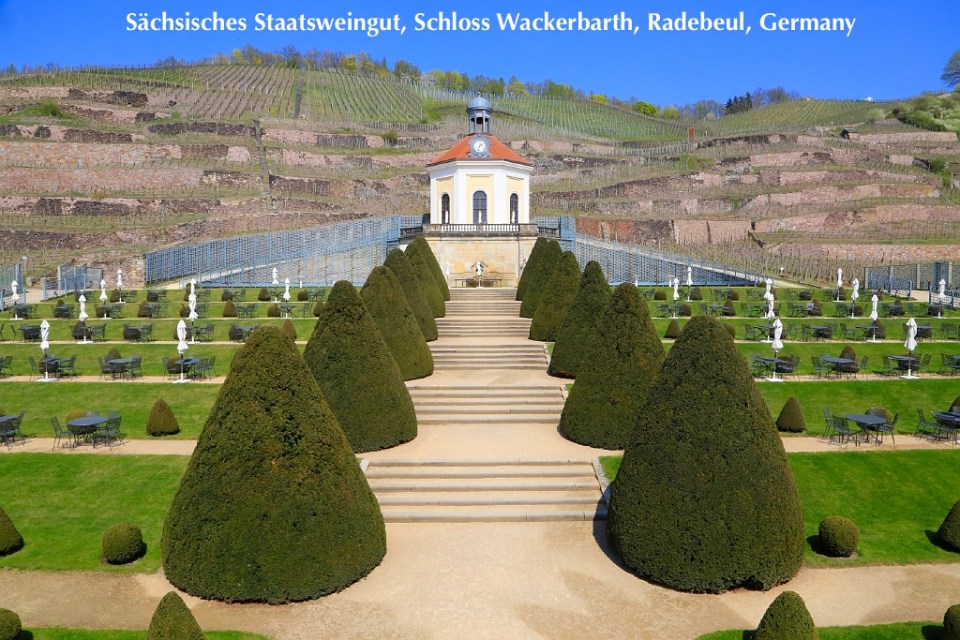 Sächsisches Staatsweingut, Schloss Wackerbarth, Radebeul, Saxony, Germany, fotoeins.com