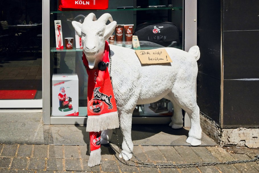 Hennes, 1. FC Köln, Köln, Cologne, North Rhine Westphalia, Nordrhein-Westfalen, Germany, Deutschland, fotoeins.com