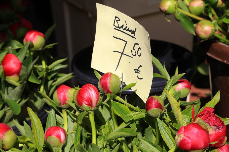 Wochenmarkt, Saturday farmers market, Neuenheimer Markt, Markplatz, Neuenheim, Heidelberg, Germany, fotoeins.com