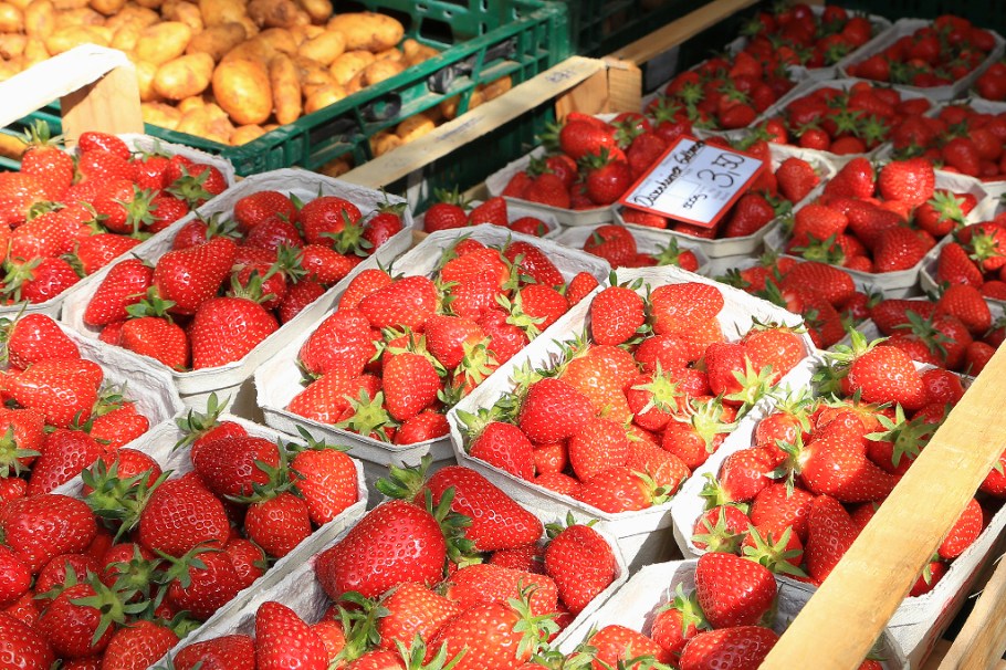 Wochenmarkt, Saturday farmers market, Neuenheimer Markt, Markplatz, Neuenheim, Heidelberg, Germany, fotoeins.com