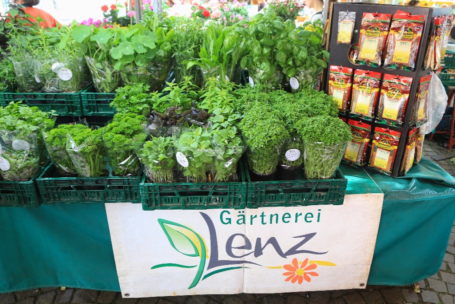 Wochenmarkt, Saturday farmers market, Neuenheimer Markt, Markplatz, Neuenheim, Heidelberg, Germany, fotoeins.com