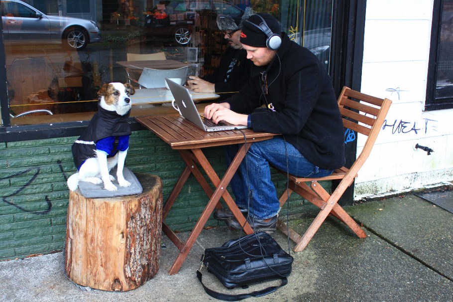 Faithful companion, The Wilder Snail, Strathcona, Vancouver, BC, Canada, fotoeins.com