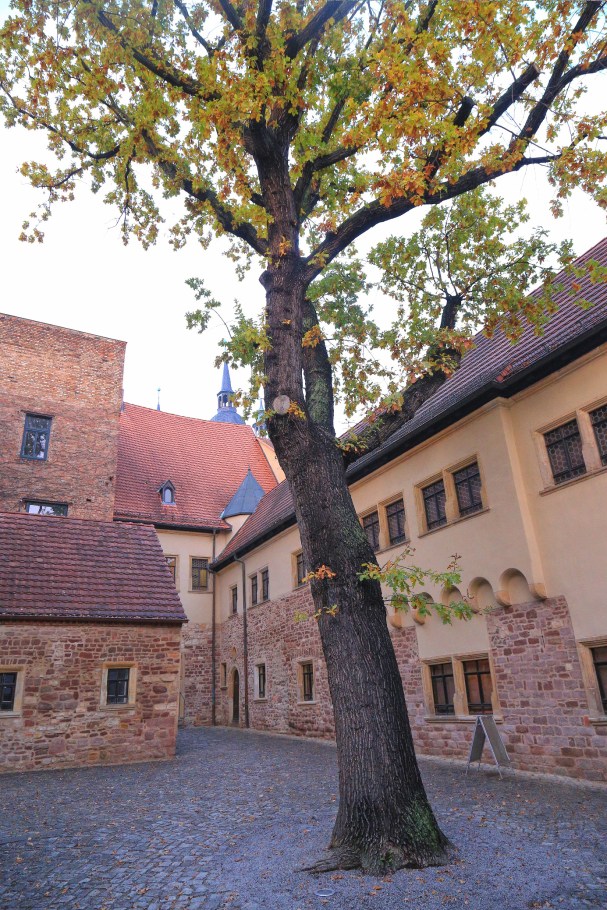 Museum Luther Death House, Museum Luthers Sterbehaus, Eisleben, Lutherstadt Eisleben, Saxony-Anhalt, Sachsen-Anhalt, Germany, UNESCO, World Heritage Site, fotoeins.com