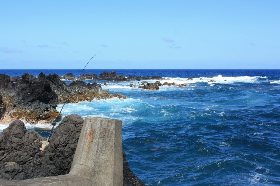 Laupahoehoe Point, Laupahoehoe, Hamakua Coast, Big Island, Hawaii, USA, myRTW, fotoeins.com