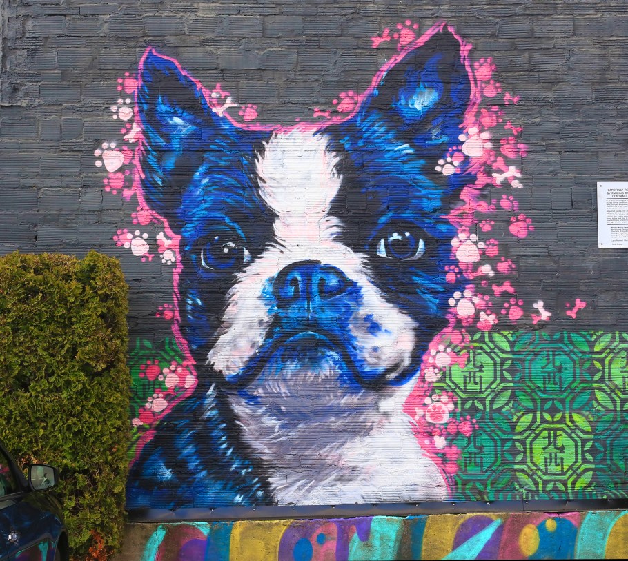 Jenn Ponci, Few and Far, Few and Far Women, Uptown, Lower Queen Anne, Mud Bay Uptown, Seattle, WA, USA, fotoeins.com