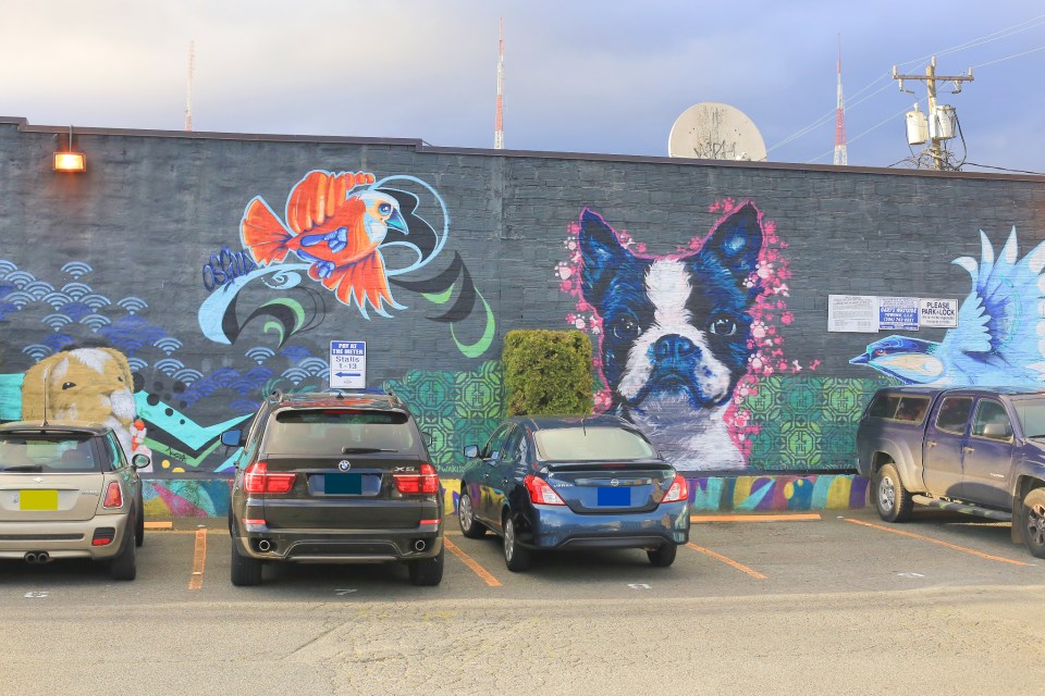 Few and Far, Mud Bay Uptown, Queen Anne, Lower Queen Anne, Seattle, WA, USA, fotoeins.com