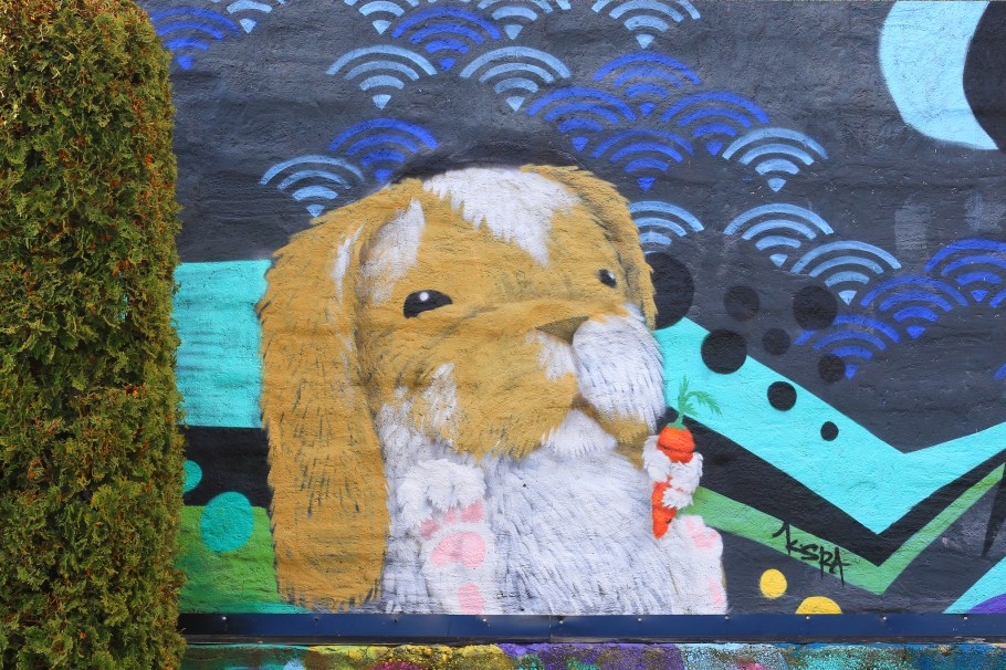 KSRA, Few and Far, Few and Far Women, Uptown, Lower Queen Anne, Mud Bay Uptown, Seattle, WA, USA, fotoeins.com