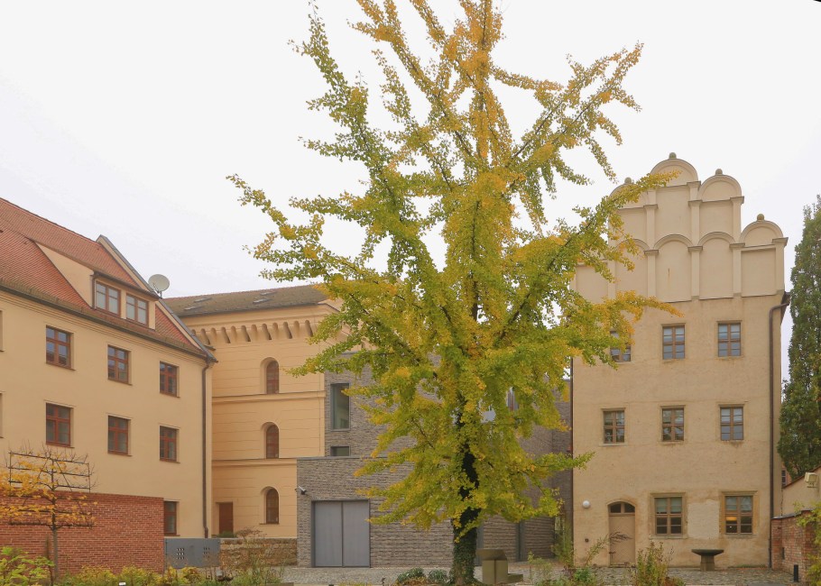 Melanchthonhaus, Melanchthon House, Lutherstadt Wittenberg, Wittenberg, Saxony-Anhalt, Sachsen-Anhalt, Germany, fotoeins.com