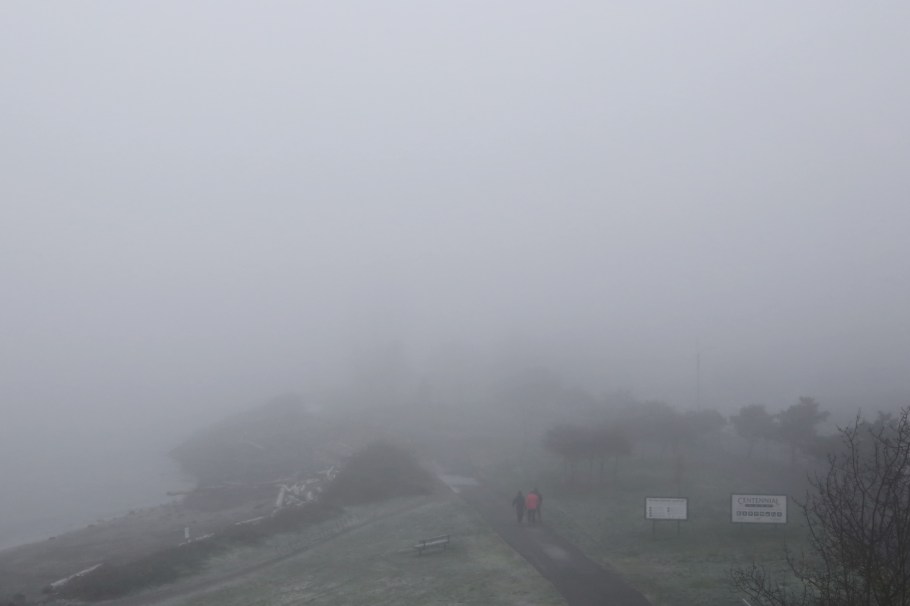 Morning fog, autumn fog, Seattle P-I globe, West Thomas St Overpass, Myrtle Edwards Park, Seattle, WA, USA, fotoeins.com