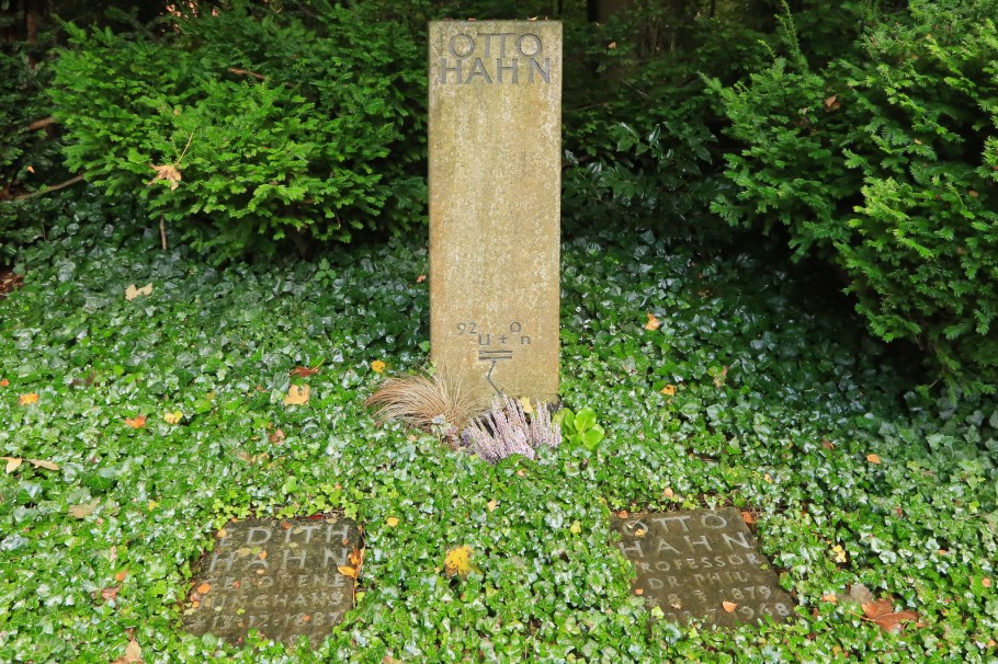 Nobel Prize, Stadtfriedhof, Göttingen, Niedersachsen, Lower Saxony, Germany, fotoeins.com