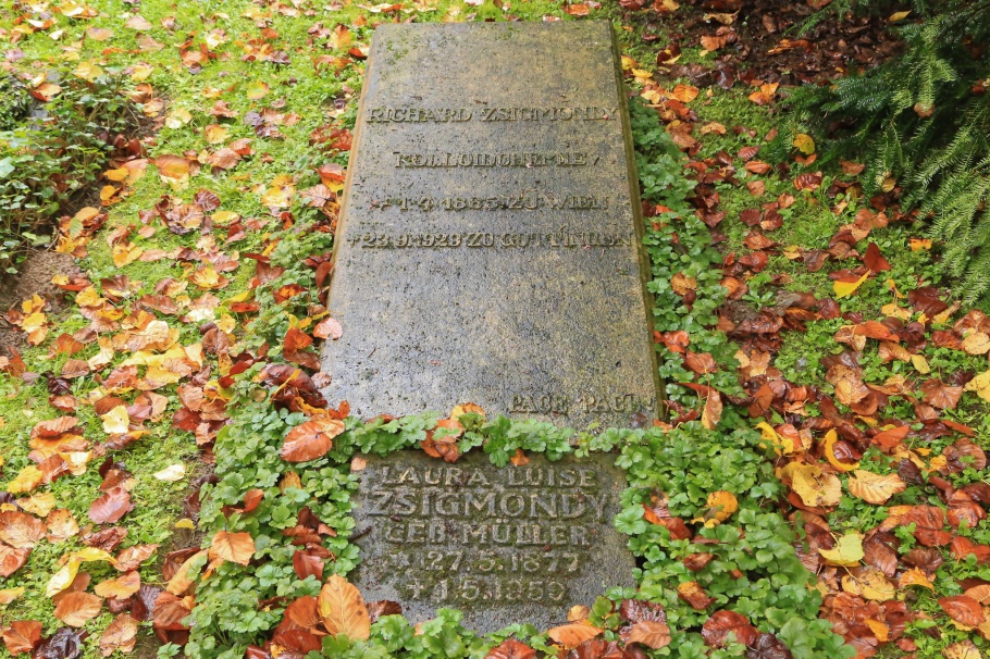 Nobel Prize, Stadtfriedhof, Göttingen, Niedersachsen, Lower Saxony, Germany, fotoeins.com