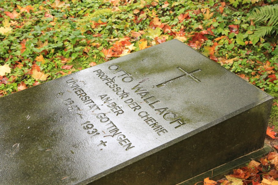 Nobel Prize, Stadtfriedhof, Göttingen, Niedersachsen, Lower Saxony, Germany, fotoeins.com
