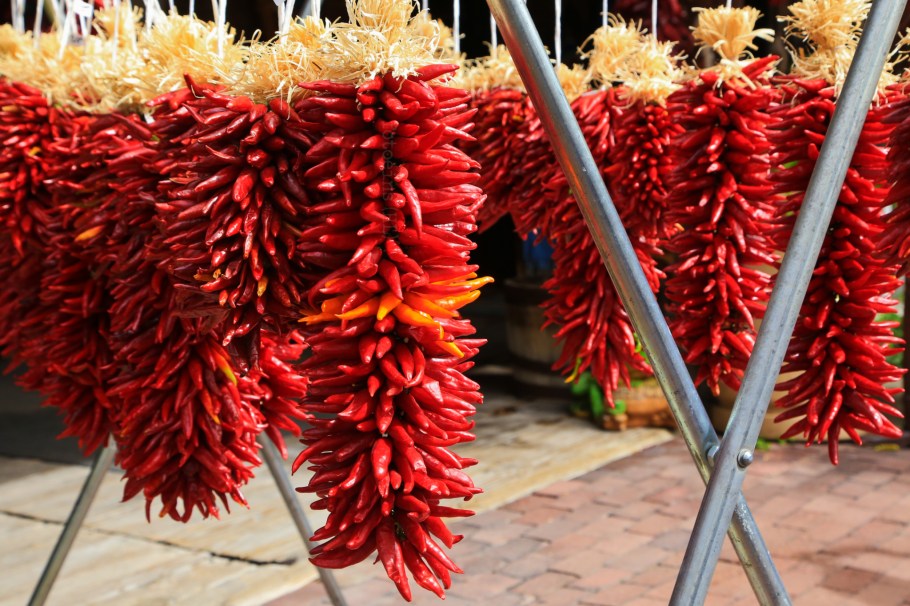 Ristra, red chile, Patio San Felipe del Norte, Albuquerque Old Town, Albuquerque, New Mexico, USA, fotoeins.com