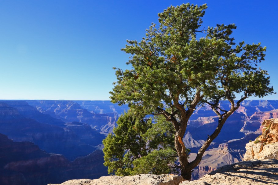 Mojave Point, South Rim, Grand Canyon, Grand Canyon National Park, AZ, fotoeins.com