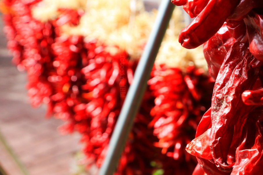 Ristra, red chile, Patio San Felipe del Norte, Albuquerque, NM, USA, fotoeins.com