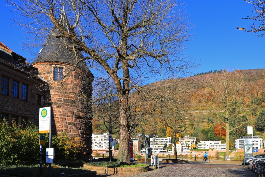 Marstallstrasse, Marstall, Universität Heidelberg, Heidelberg, Baden-Württemberg, Germany, Deutschland, fotoeins.com