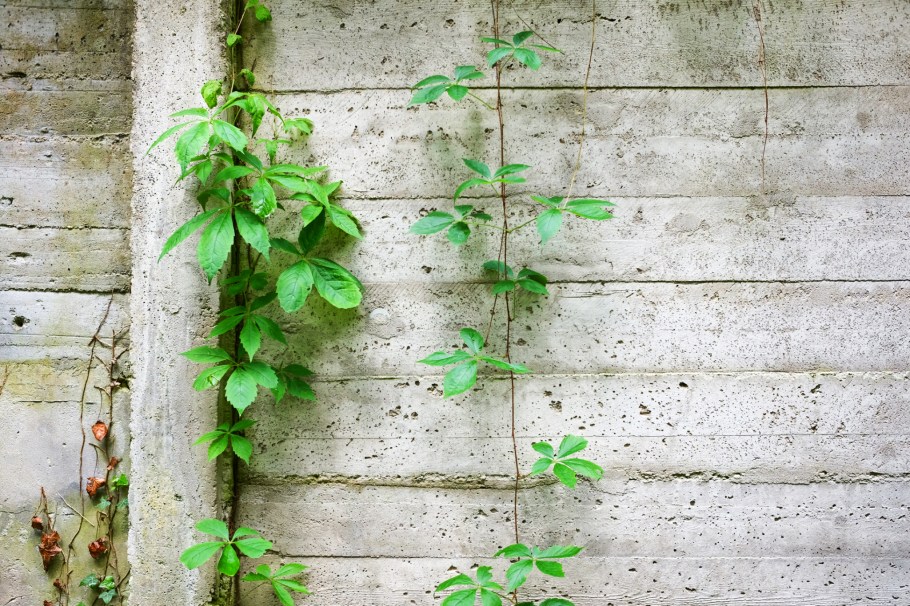 KZ-Gedenkstätte Dachau, KZ Dachau, Dachau Concentration Camp Memorial Site, Dachau, Bavaria, Bayern, Germany, Deutschland, fotoeins.com