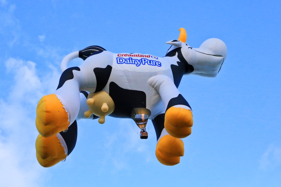 Albuquerque International Balloon Fiesta, Balloon Fiesta, Balloon Fiesta Field, Albuquerque, NM, USA, fotoeins.com