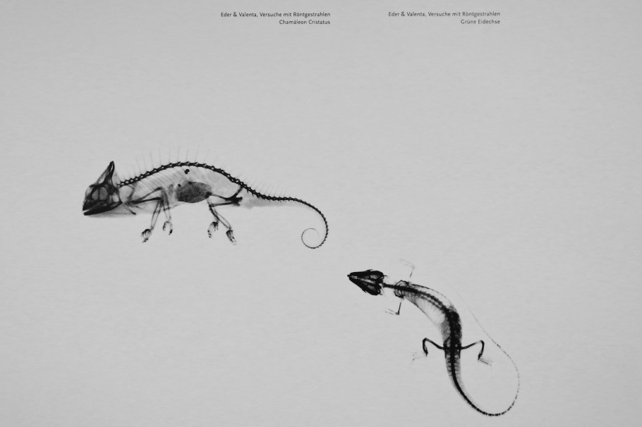 Röntgen Gedächtnisstätte, Röntgen Memorial Site, Wilhelm Conrad Röntgen, X-rays, Nobel Prize, Würzburg, Bavaria, Bayern, Germany, Deutschland, fotoeins.com