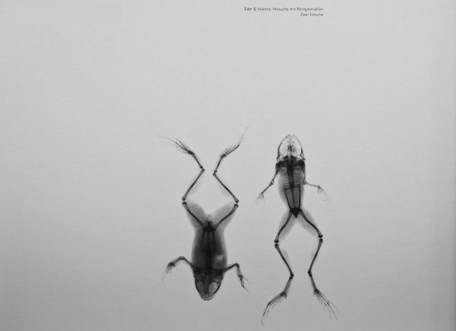 Röntgen Gedächtnisstätte, Röntgen Memorial Site, Wilhelm Conrad Röntgen, X-rays, Nobel Prize, Würzburg, Bavaria, Bayern, Germany, Deutschland, fotoeins.com