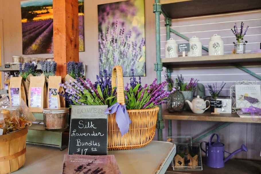 Purple Adobe Lavender Farm, lavender, US 84, US route 84, Abiquiu, New Mexico, USA, fotoeins.com