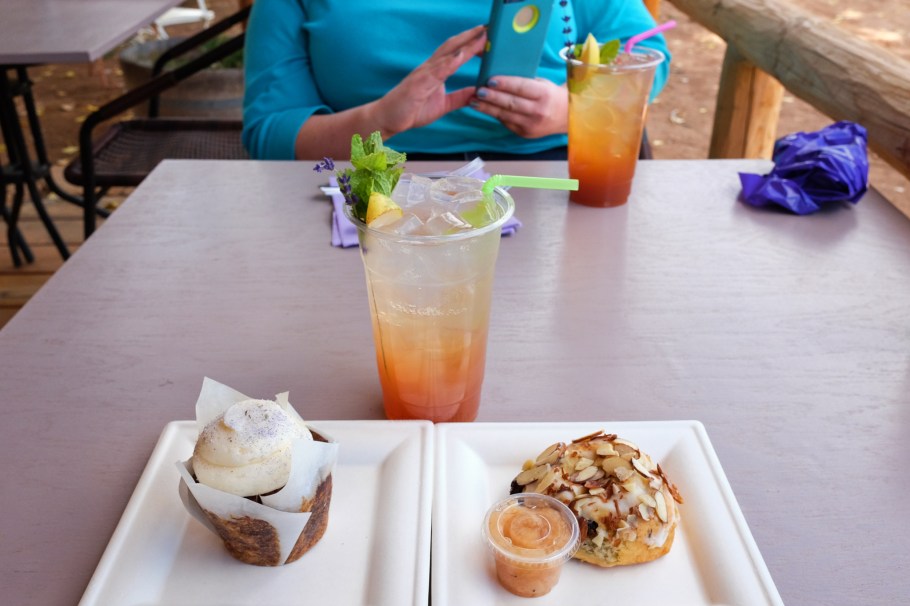 Purple Adobe Lavender Farm, lavender, US 84, US route 84, Abiquiu, New Mexico, USA, fotoeins.com