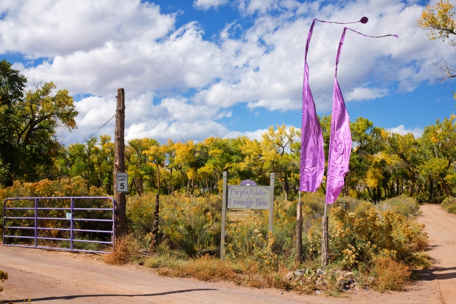 Purple Adobe Lavender Farm, lavender, US 84, US route 84, Abiquiu, New Mexico, USA, fotoeins.com