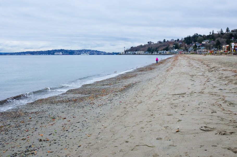 Space Needle, that tower again, Alki Beach, West Seattle, Seattle, WA, USA, fotoeins.com