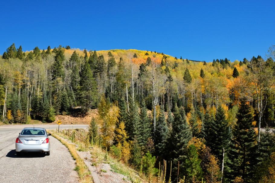 Santa Fe National Forest Scenic Byway, Santa Fe National Forest, Española Ranger District, Santa Fe, New Mexico, USA, fotoeins.com
