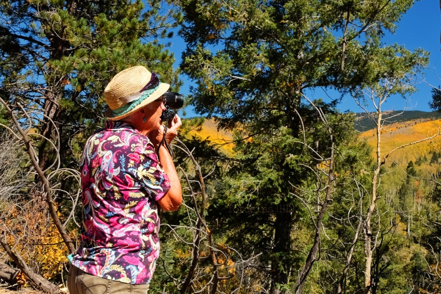 Santa Fe National Forest Scenic Byway, Santa Fe National Forest, Española Ranger District, Santa Fe, New Mexico, USA, fotoeins.com