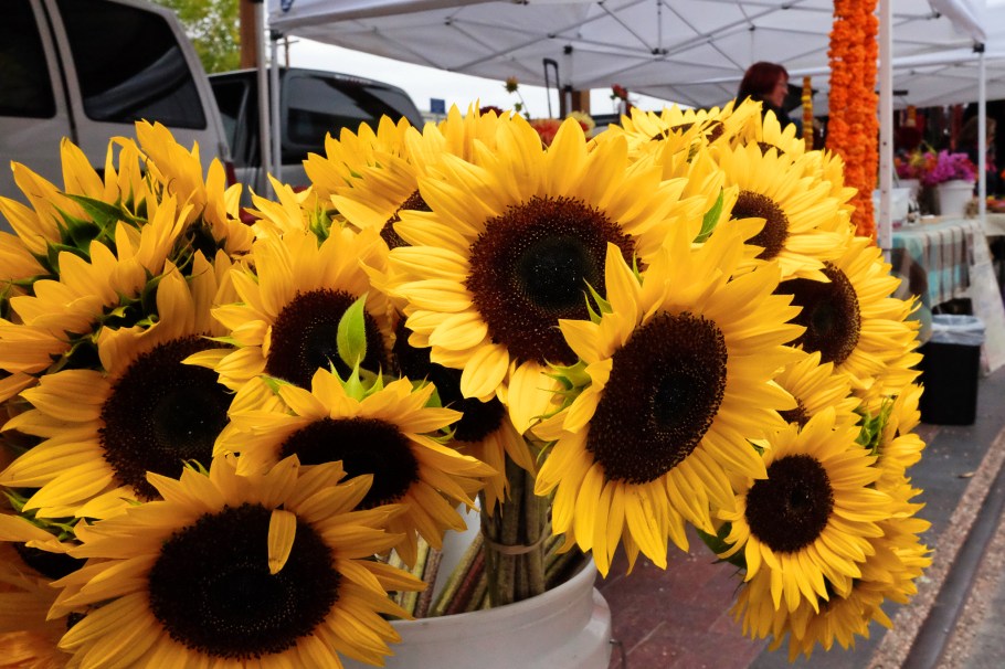 Santa Fe Farmers Market, Railyard, Santa Fe, New Mexico, fotoeins.com