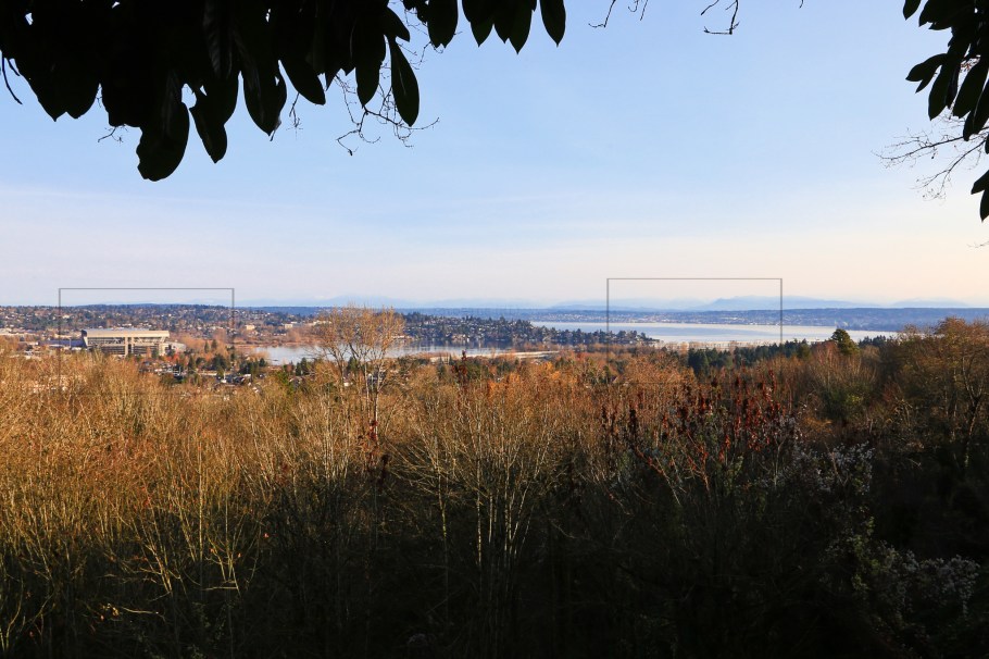 Louisa Boren Park, fall colours, autumn colours, Capitol Hill, Seattle, Washington, USA, fotoeins.com