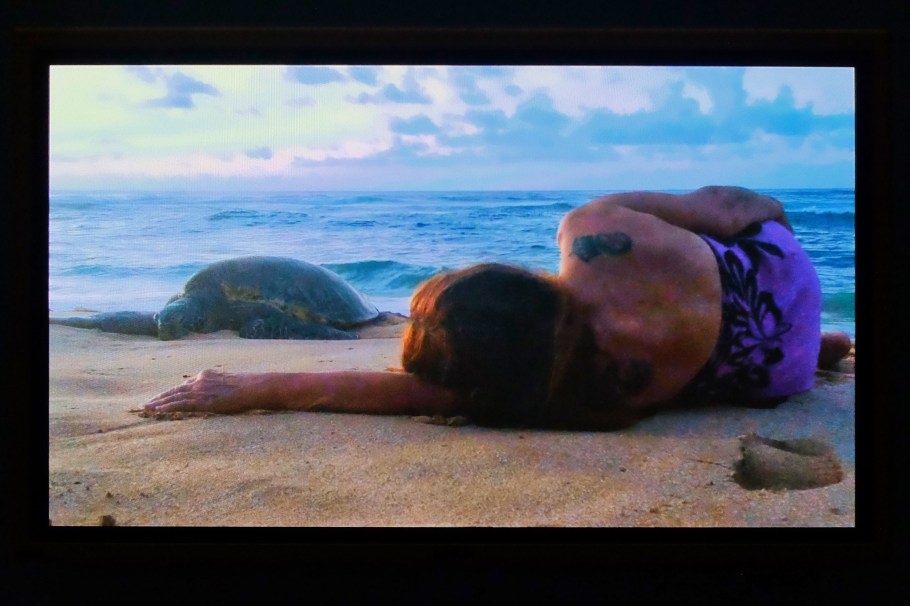 T'uy't'tanat-Cease Wyss, Vancouver Art Gallery, Vancouver, BC, Canada, fotoeins.com