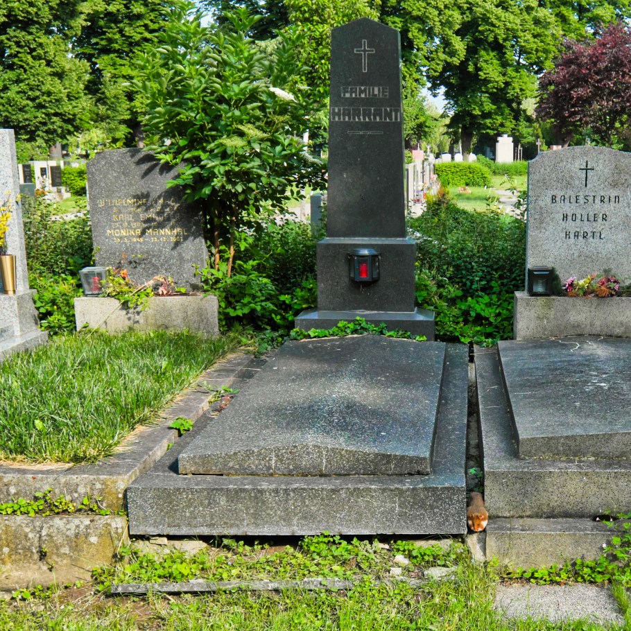 European hamster, Wiener Zentralfriedhof, Wien, Vienna, Austria, Österreich, fotoeins.com