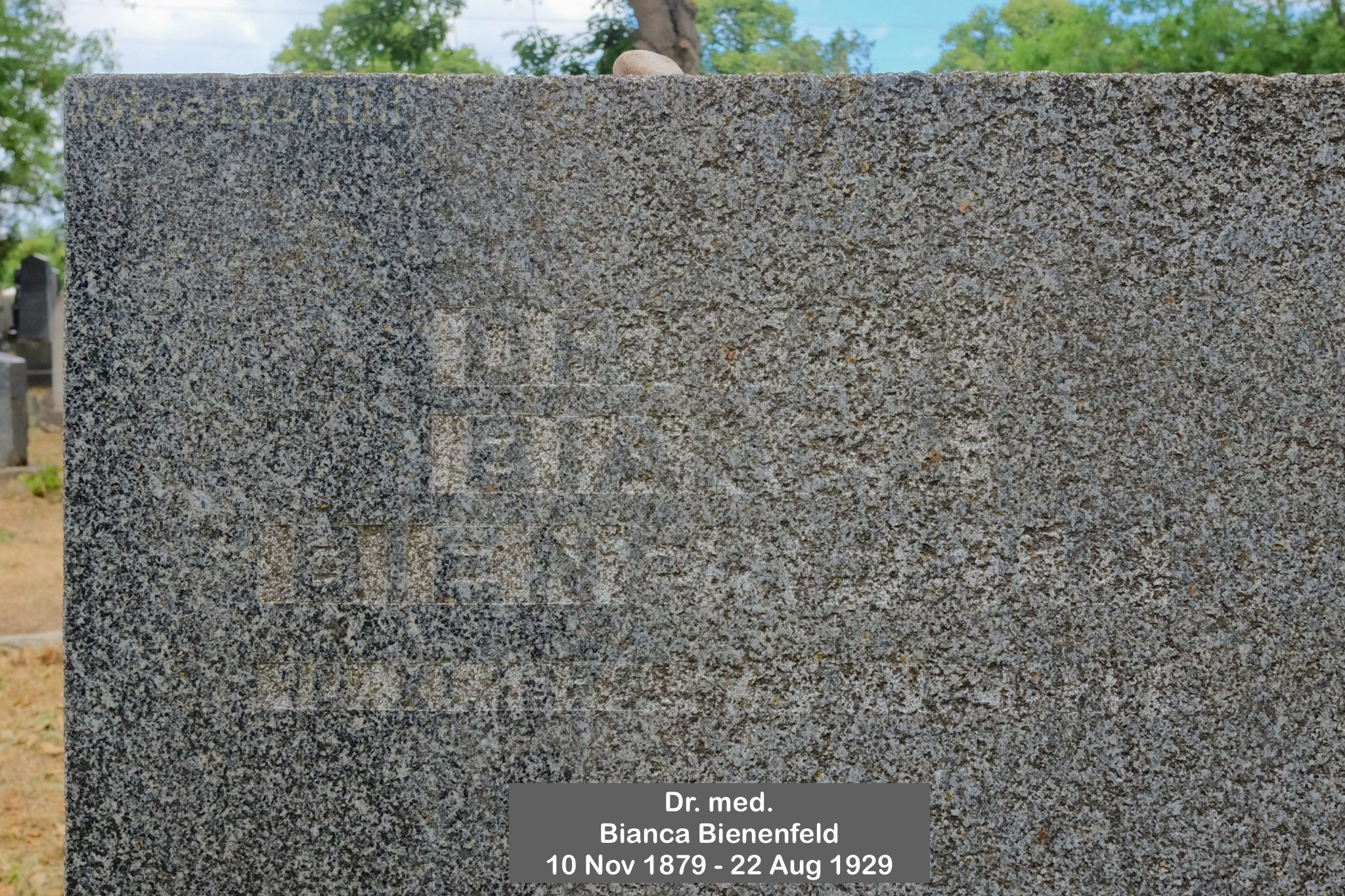 Bianca Bienenfeld, Alter jüdischer Friedhof, Wiener Zentralfriedhof, Wien, Vienna, Austria, Österreich, fotoeins.com
