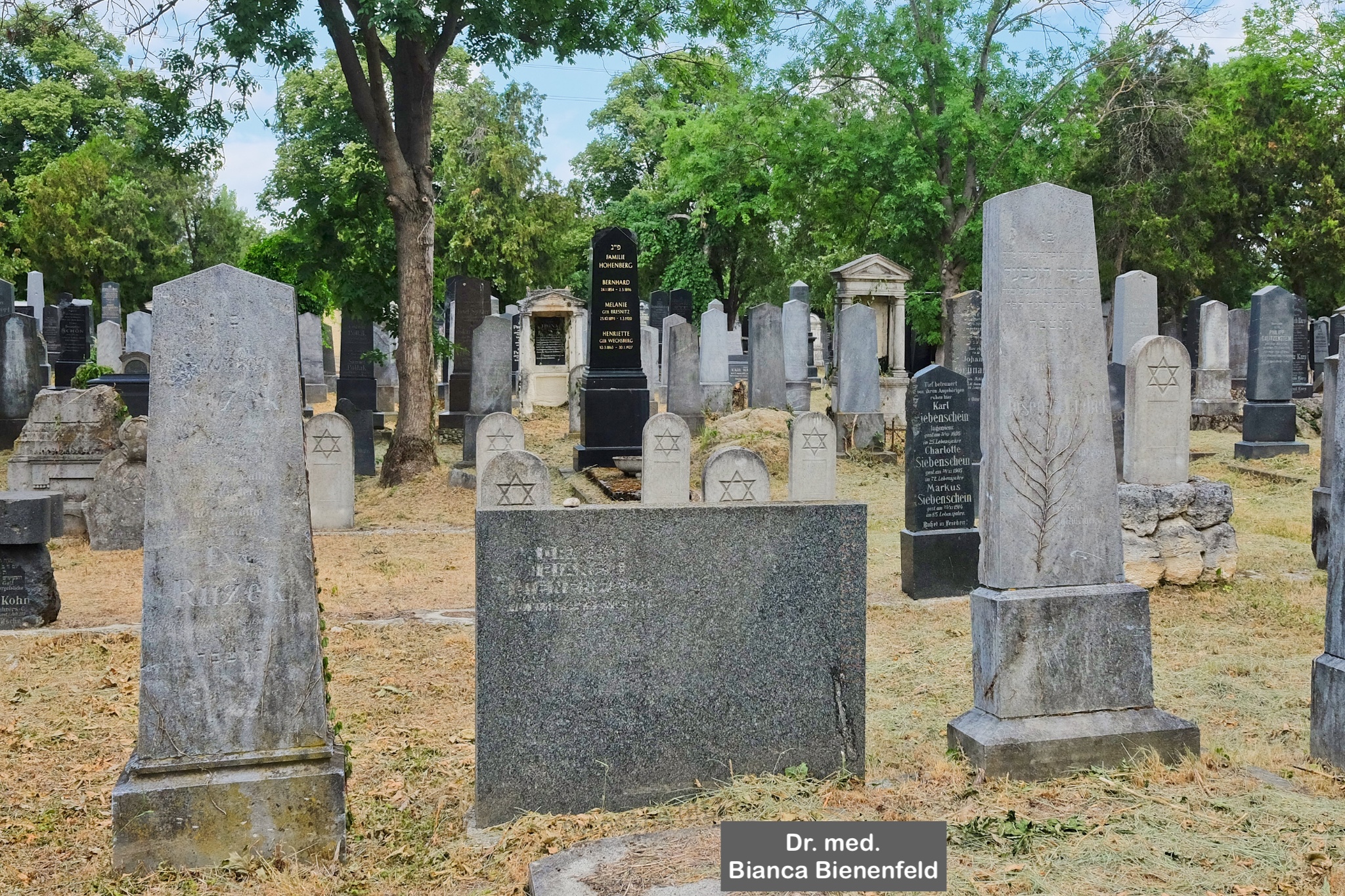 Bianca Bienenfeld, Alter jüdischer Friedhof, Wiener Zentralfriedhof, Wien, Vienna, Austria, Österreich, fotoeins.com