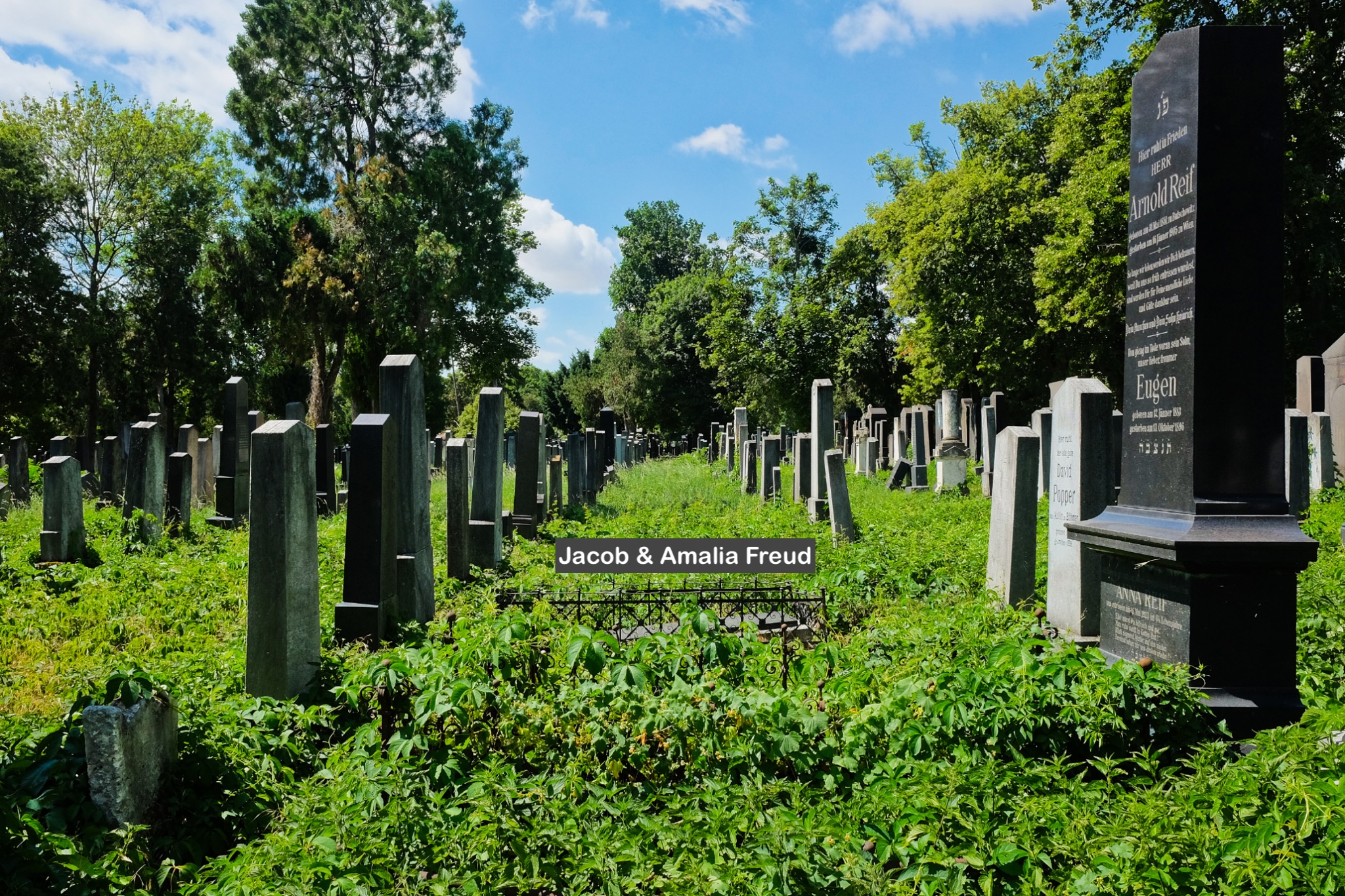Jacob and Amalia Freud, Alter jüdischer Friedhof, Wiener Zentralfriedhof, Wien, Vienna, Austria, Österreich, fotoeins.com